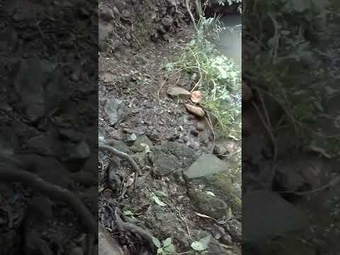 La Pilona @El Salvador 🇸🇻 La unión, Conchagua, en la pilona