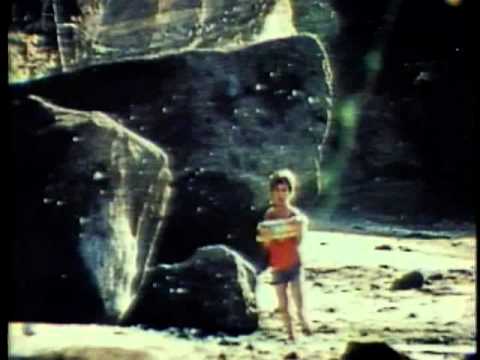 C and H Pure Cane Sugar 1976 vintage commercial