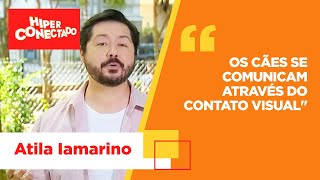 Miniatura do vídeo