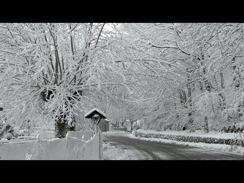 Neve in Toscana . Video relax lungo la strada della collina pistoiese #neve #relax #collina #pistoia