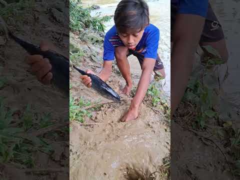 Pake umpan ikan tongkol #nature #shortvideo