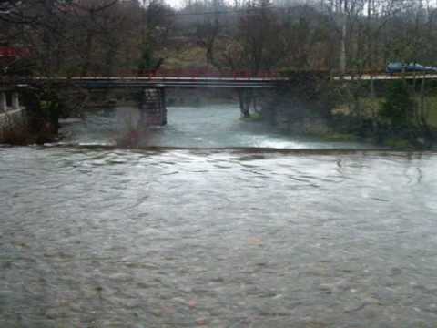 Kraljevice, va srcu te nosin   -  Silvija Polić