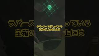【 #ゼルダの伝説ティアーズオブザキングダム 】真上の地上