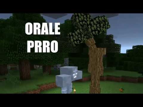 OGROS - TORTUGAS Y GUARDIAN DEL BOSQUE VS WITHER - Minecraft PE 1.0 Addons Video
