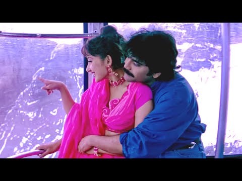 Nagarjuna, Manisha Koirala Superhit Love Song - Criminal Movie Songs | Telusa Manasa Video Song