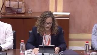 El COLEF Andalucía defiende en el Parlamento andaluz que los profesionales del deporte titulados sea