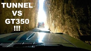 INSANE Tunnel Vs GT350 !!! by Vehicle Virgins