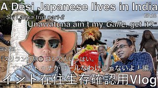 【インド在住 Vlog 】『スリランカ旅②ロシア人いっぱい。ウナワトゥナがゴールなわけじゃないよ編』 #srilanka #unawatuna #galle #coralfish #japanese