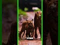 Why Should We Save Tigers Shorts