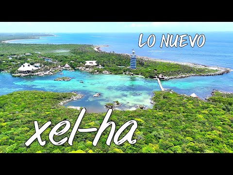 🔴THE NEW XEL-HA PARK 🌴