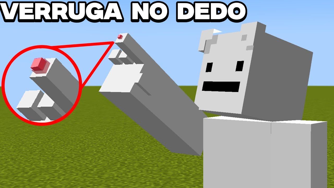 MENTIRAS que te contaram e você acreditou