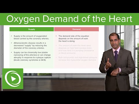 Oxygen Demand of the Heart: Supply & Demand Mismatch – Cardiovascular Pathology | Lecturio