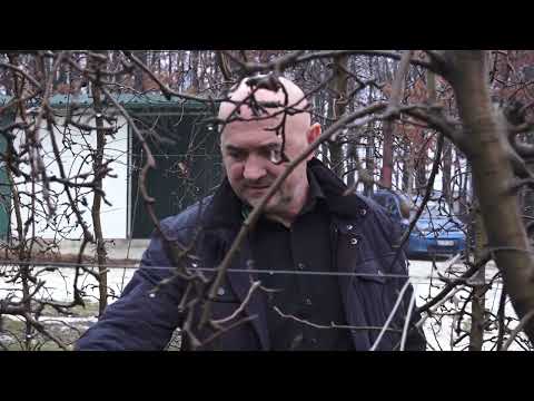 Agro karavan ep.211 - Gruža - 16.01.2022.