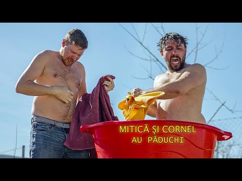 MITICĂ ȘI CORNEL AU PĂDUCHI #3chestii