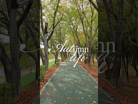 가을초입, 상주 북천시민공원을 가다!