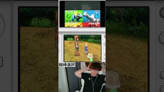 懐かしすぎるDSゲームスーパーカセキホリダー