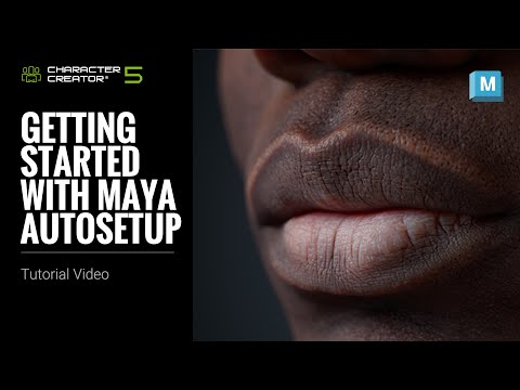 Getting Started with Maya Auto Setup | Character Creator 5 Tutorial
