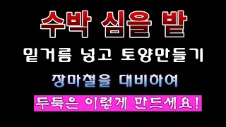 [텃밭농부 186]  수박 심을 밭에 밑거름 넣고 토양 만들기. 장마철에 안전한 두둑 이렇게 만드세요. #수…