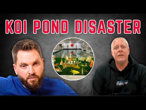 One Man’s Fight to Save His Koi Pond and His Passion | ***Documentary***