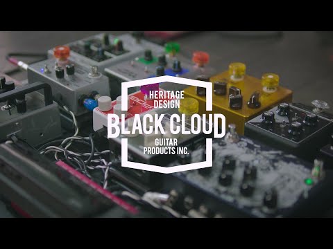 BC SESSIONS #005 - "Chameleon"