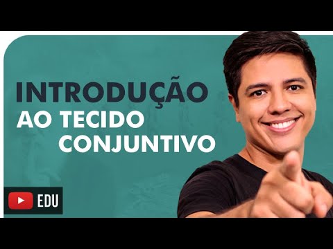 CONNECTIVE TISSUE - BASIC CONCEPTS - HUMAN HISTOLOGY - Prof. Kennedy Ramos