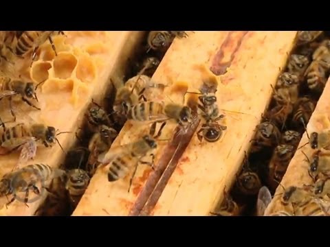 Ausgabe 2 der Postillon24 Nachrichten