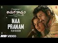 Naa Pranam Film Version Tere Ishk Mein Dhanush Kriti AR Rahman Aanand L Rai Bhushan K