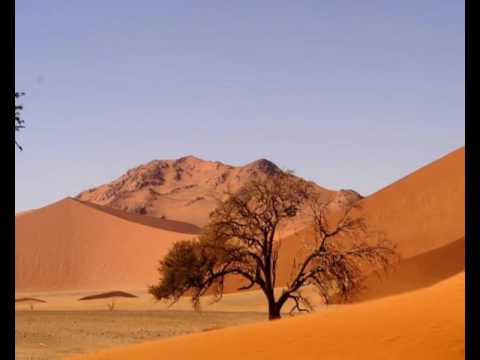 SACRA BIBBIA DAL LIBRO DELLA SAPIENZA capitolo XVIII°