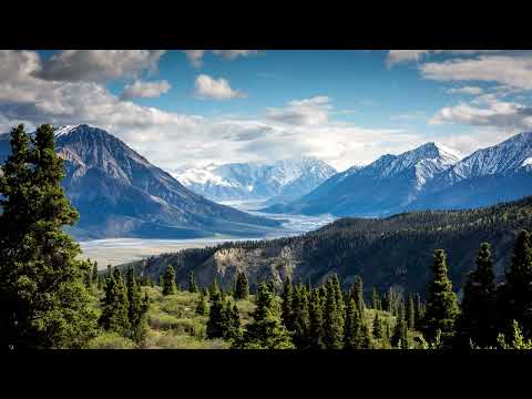 Like A Queen  -  spring gang feat. Matt Bloyd