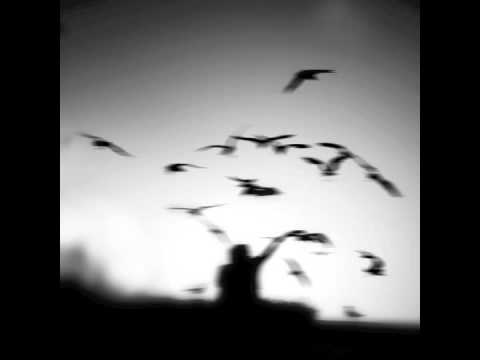 Dom Mody - Deszcz Słów