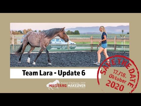 Mustang Makeover 2020 - Team Lara ( TAG 5172) - Update 6