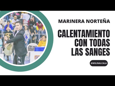 🎵 Calentamiento con Todas las Sangres 🤍💚
