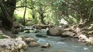 preview picture of video 'Bridges and Trails in the Chouf/Wissam khalil.m4v'