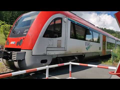 Odenwaldbahn I Einfahrt in Schöllenbach I Schönes Sommerwetter