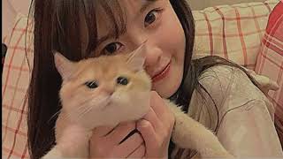 Let&#39;s get gone.Bei Major/speed up