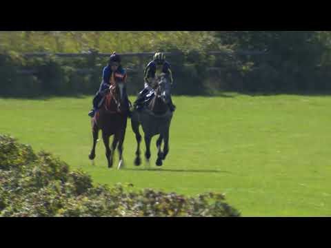 Kvallopp 190908 Göteborg Galopp