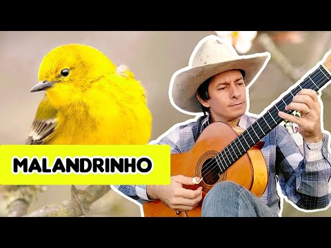 Joel Amaral I Malandrinho (Solo de Viola)