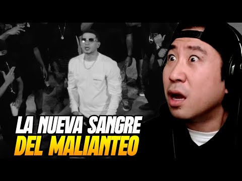 Coreano reacciona a LA NUEVA SANGRE DEL MALIANTEO de Puerto Rico 🤯🔥 Dei V, Chris Jedi, Gaby Music