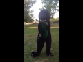 Poi Barney