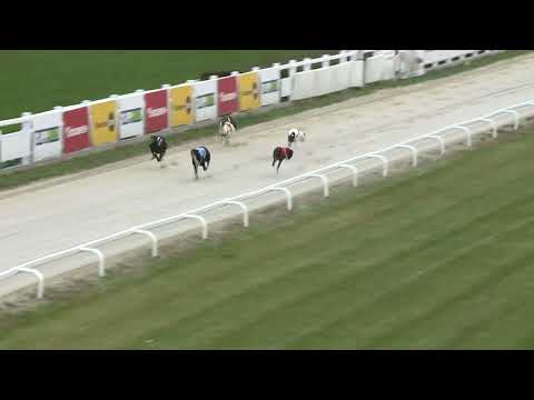 2022.11.12. 14. futam - Novemberi Trófea