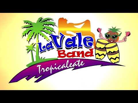 LA VALE BAND - MIX TOADAS /LAMBADA/TE EMPELICULEASTE
