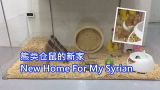 Download lagu New Home for my Syrian - What happen when give their food immediately after move in mp3