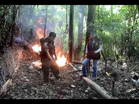 herviboro - MI ESENCIA