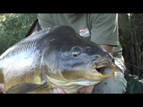 Spiegler mit einer Bartel - VTB spezial