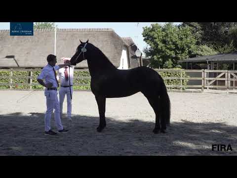 Locatiekeuring Stal De Nieuwe Heuvel 5-8-2020
