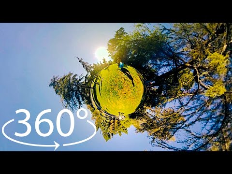 Bad Day at the Park Picnic Gone Wrong