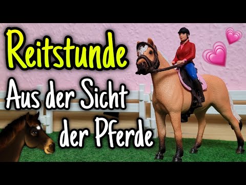 Reitstunde aus der Sicht der Pferde 👀🐴 | Reitunterricht #3