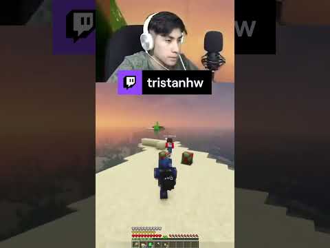 The new #Drop of #Minecraft 😁 |  tristanhw from #Twitch