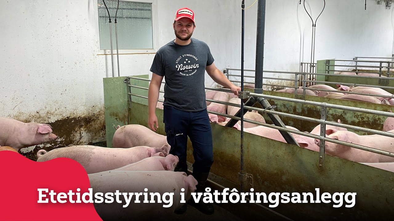 Våtfôring med etetidsstyring