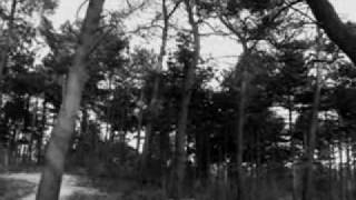 Deine Lakaien - Forest